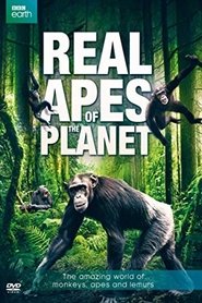 Poster The Real Apes of the Planet 2014