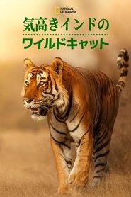 Wild Cats of India
