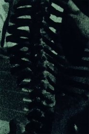 Poster Dervish Machine 1992