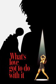 What's Love Got to Do with It (1993)
