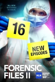 Forensic Files II постер