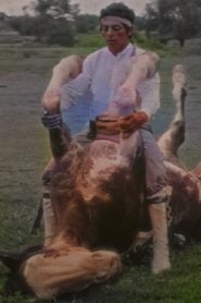 Poster The Rider 2023