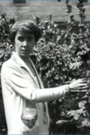 Poster Visitin' 'round at Coolidge Corners 1924