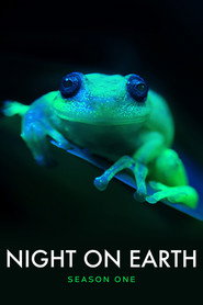Night on Earth Season 1 3