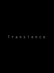 Poster Transience 2013