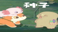 Episodul 12