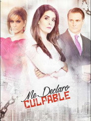 Me declaro culpable постер