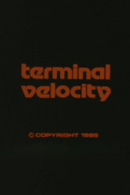 Terminal Velocity