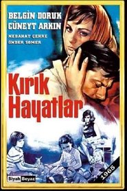 Kırık Hayatlar 1965