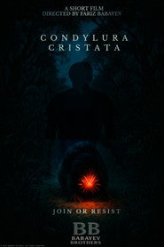 Poster for Condylure Etoilé