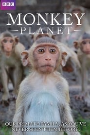 Úžasný svět opic