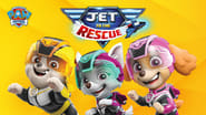 PAW Patrol: Jet to the Rescue