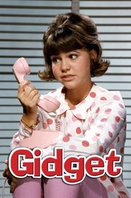 Full Cast of Gidget