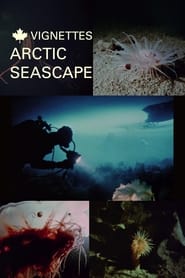 Poster Canada Vignettes: Arctic Seascape