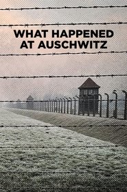 What Happened at Auschwitz (2025)
