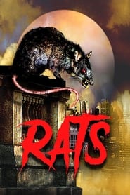 Пацюки постер