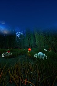 We Will Definitely Talk About This After the Last Air Raid Alert Stops (2024)