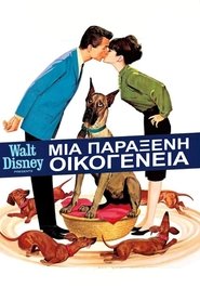 Μια Παράξενη Οικογένεια (1966)