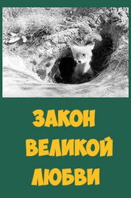 Закон великой любви