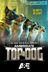 America's Top Dog постер