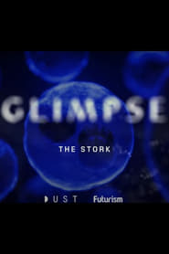 Glimpse Ep 2: The Stork 2018