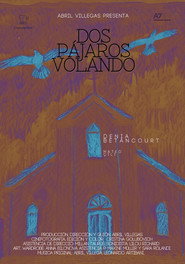 Dos pájaros volando