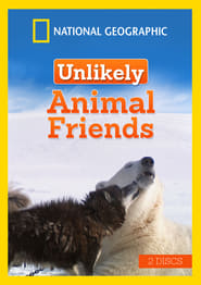 Unlikely Animal Friends постер