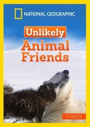 Poster Unlikely Animal Friends 2012