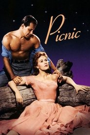 Picnic