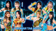 Stardom in Toyama