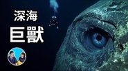Episode 293