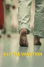 Poster A Little Vacation