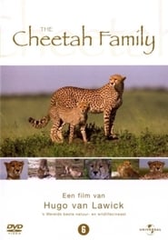 Poster Cheetah Story