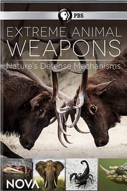 Poster Extreme Animal Weapons