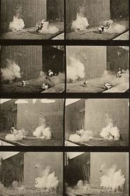 Chickens Scared by Torpedo 1887