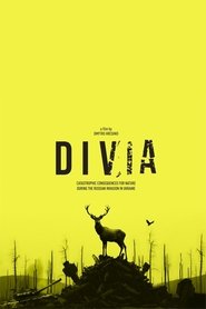 Poster Divia 