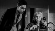 The American Backyard en streaming