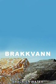 Poster Brakkvann