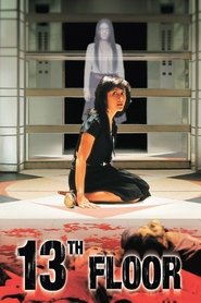 Poster 13th Floor 2007