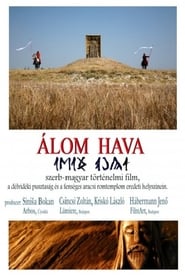 Poster Álom hava