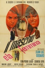 Il maschio e la femmina