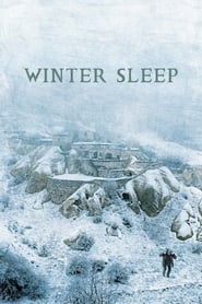 Poster Winter Sleep 2014