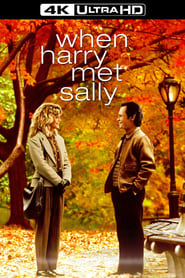 Коли Гаррі зустрів Саллі постер