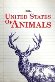 United States of Animals постер