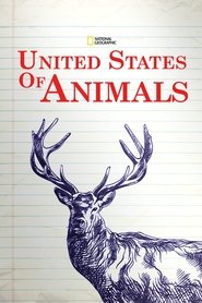 United States of Animals poster