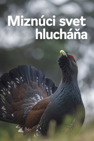 Disappearing World of the Capercaillie (2023)