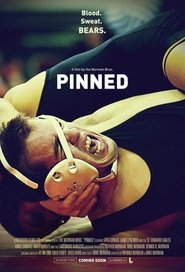 Poster Pinned 2009