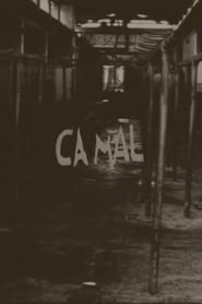 Camal 2001 وړیا لا محدود لاسرسی