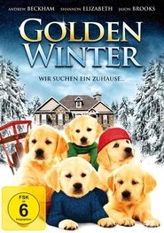 Golden Winter – Wir suchen ein Zuhause