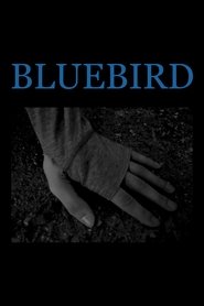 Poster Bluebird 2018